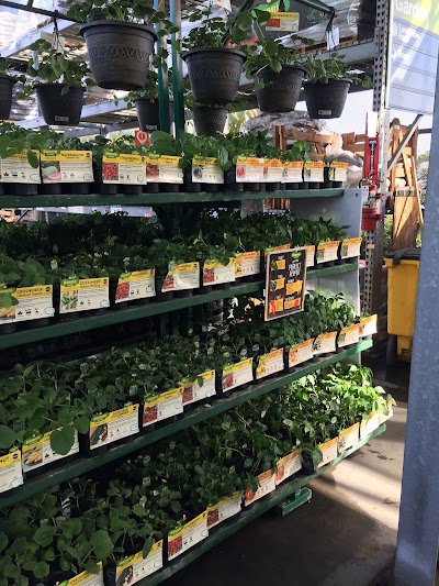 Garden Center at The Home Depot