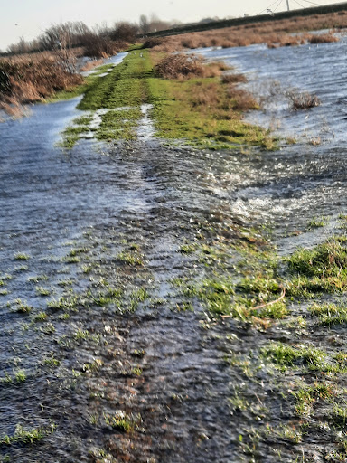 Kleine Willemswaard - Thumbnail