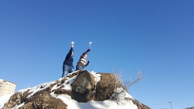 Photos of Mashahir Park