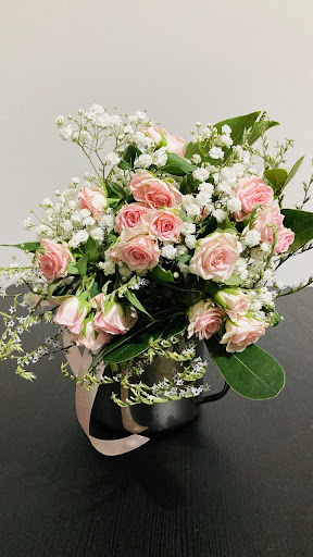 Decorflora - Visual