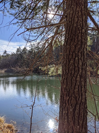 Braley Pond Day Use Area