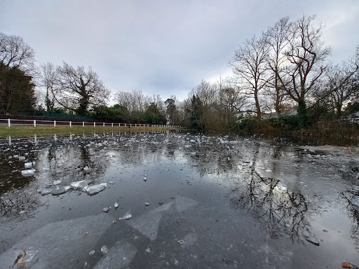 Townsend Pond - Visual