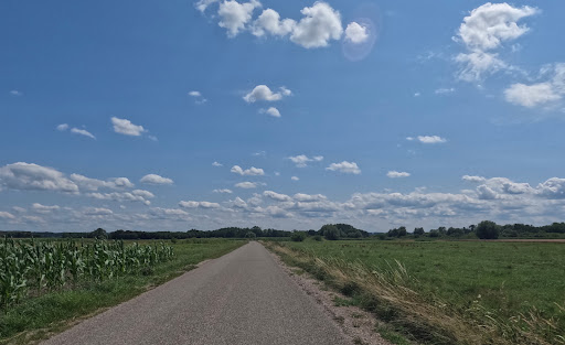 Vogellebensraum Glöttgraben