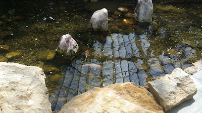 Photos of Bayan Botanical Garden