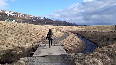 Photos of Illugastadir seal watching