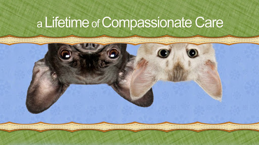 Ingersoll Animal Hospital