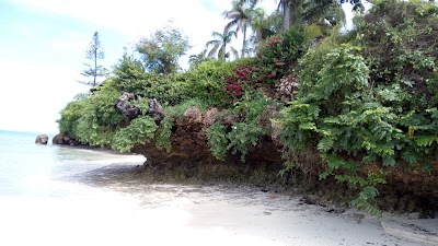 Photos of Tijara Beach