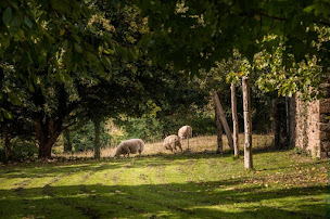 Photo n°7 de La Roselière - Gîtes de France à Pleudihen-sur-Rance (Lodge)