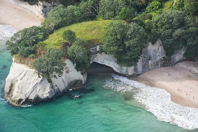 Photos of The Mercury Bay Informer