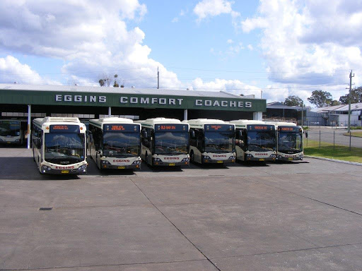 Eggins Comfort Coaches