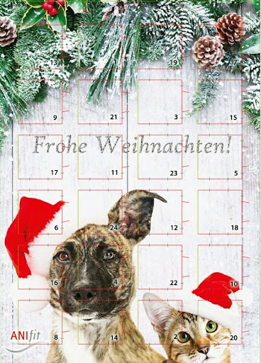 Anifit Hunde und Katzenfutter. Fachberater.Daniel Füllenbach Gallery - Germany