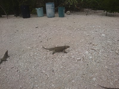 Photos of Lago Enriquillo National Park