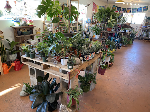 The Meadow-Garden Center - Thumbnail