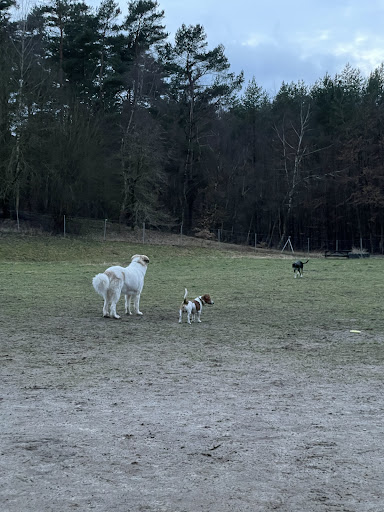 Hundefreilaufplatz Bad Bevensen - Thumbnail