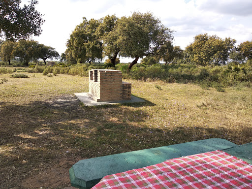 ZONA BASE - Visual