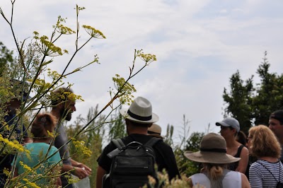 GASTRONOMIC TREKKING Food & Team Experience