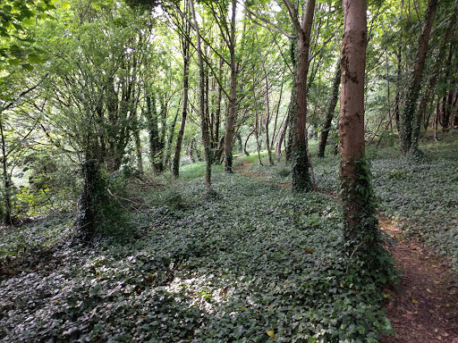 Shide Quarry - Visual