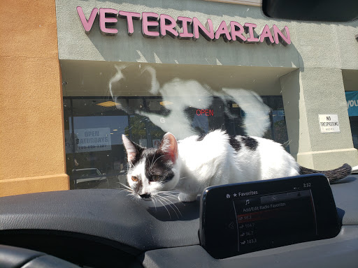 Apricot Veterinary Clinic - Thumbnail