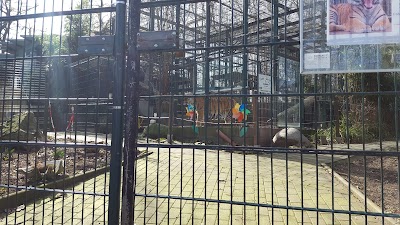 zoo