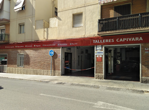 Talleres Capivara