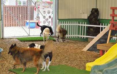 Canine Corner & Cats Too