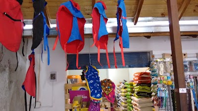 Photos of +Kota Productos & Servicios