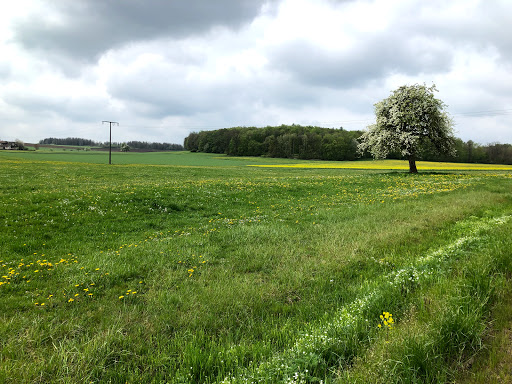 Schalksbachteiche - Visual
