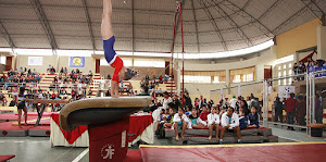 ESCUELA DE GIMNASIA 4