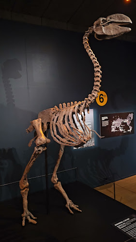 Te Manawa Museum - Museum