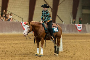 Photo n°5 de Double E Farm à Petit-Tenquin (Éleveur de chevaux)