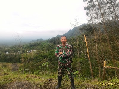 Photos of PENANAMAN POHON
