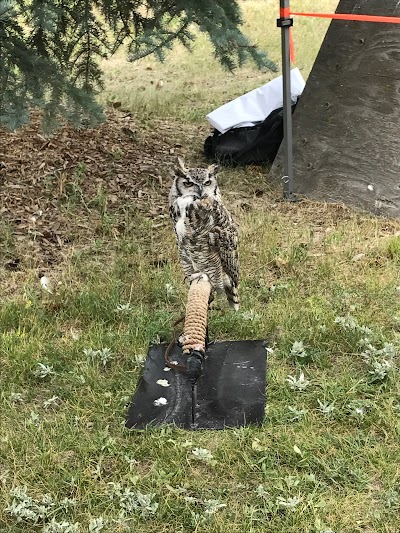 Montana Raptor Conservation Center