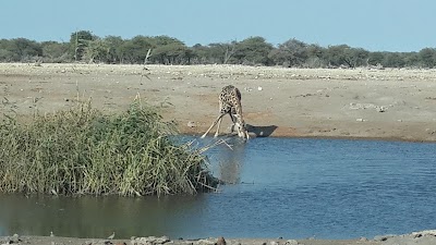 Photos of Kempinski Mokuti Lodge