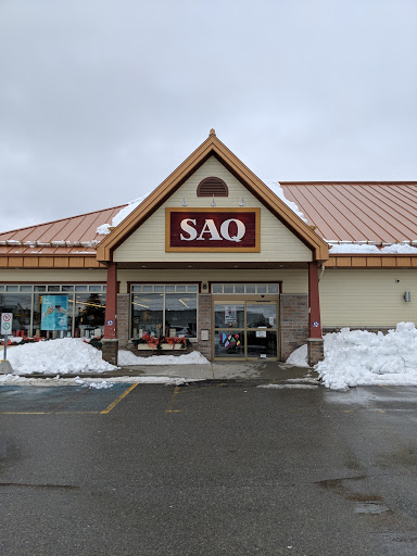 SAQ-Amos - Visual