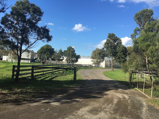 Lonsdale Tomato Farm