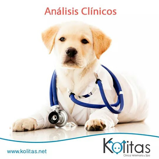 Kolitas Veterinaria Cancun