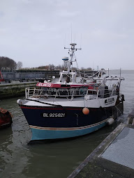 Photo n°9 de Au Poisson du Coin à Cayeux-sur-Mer (Poissonnerie)