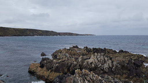 Norwick - Visual