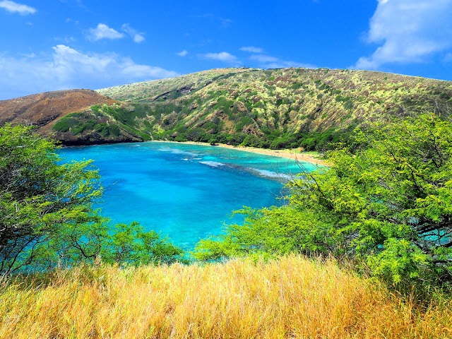 Hanauma Bay