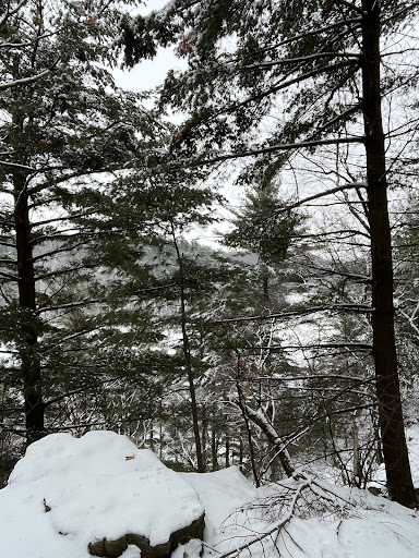 Pine Cliff - Visual