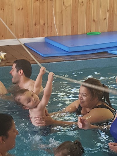 Photos of Shirat pool