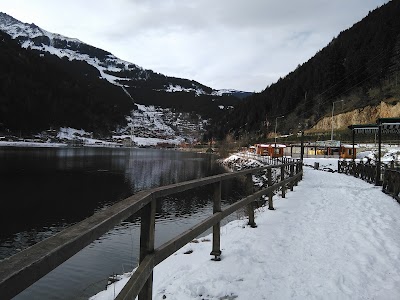 Photos of Zeren Pension