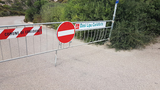 Centro visite e Campo base dell'Oasi LIPU di Carloforte - Thumbnail