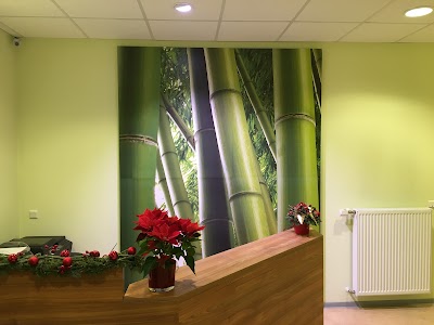 Photos of Physiotherapie Weisses Ross P. Brecht-Schaumburg