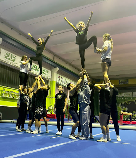 Wildcats House - Thumbnail