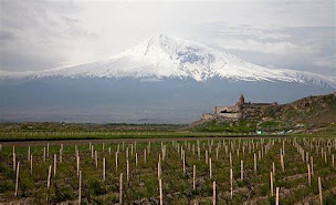 Photo n°42 de Arménie Restauration à Blois (Restaurant halal)