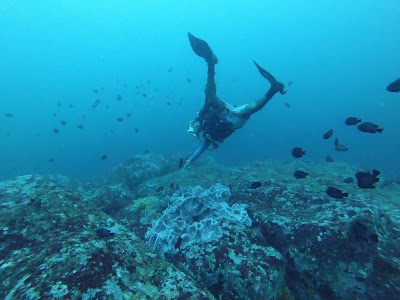 Photos of Weligama Bay Dive Center
