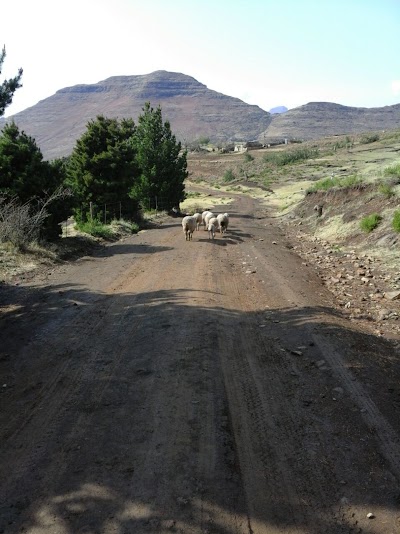 Photos of Lipetung