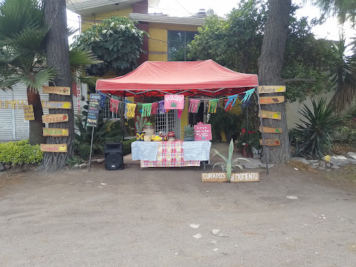 Pulques Hijos delMagiey