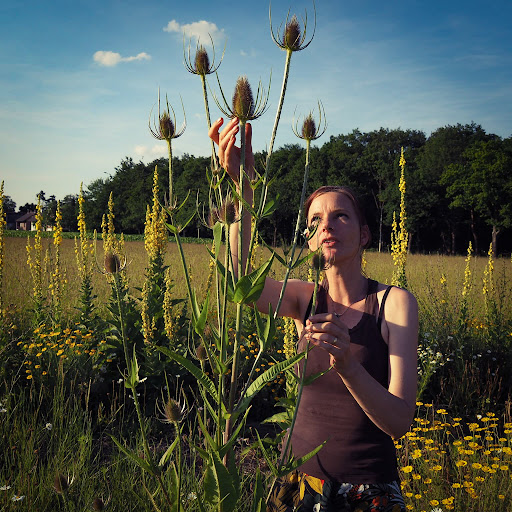 Wilde Marjolein kruiden en wildpluk